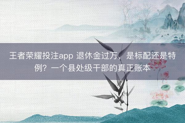 王者荣耀投注app 退休金过万，是标配还是特例？一个县处级干部的真正账本