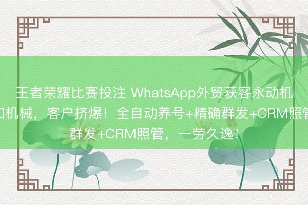 王者荣耀比赛投注 WhatsApp外贸获客永动机200条/日稳如机械,客户挤爆!全自动养号+精确群发+CRM照管,一劳久逸!