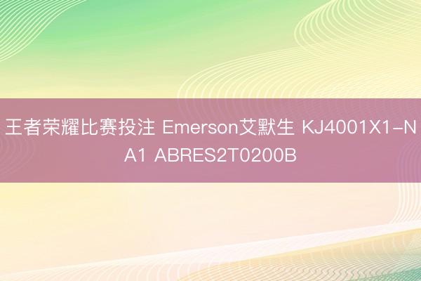 王者荣耀比赛投注 Emerson艾默生 KJ4001X1-NA1 ABRES2T0200B