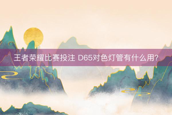 王者荣耀比赛投注 D65对色灯管有什么用？