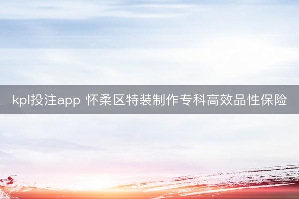 kpl投注app 怀柔区特装制作专科高效品性保险