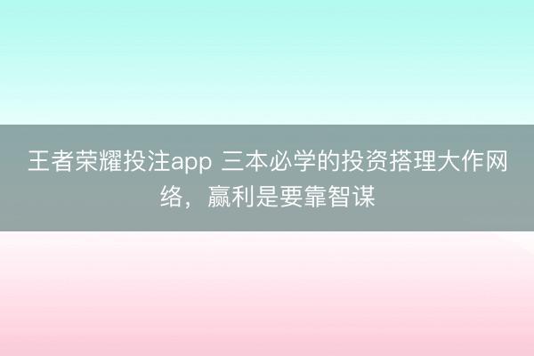 王者荣耀投注app 三本必学的投资搭理大作网络，赢利是要靠智谋