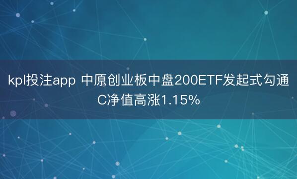 kpl投注app 中原创业板中盘200ETF发起式勾通C净值高涨1.15%