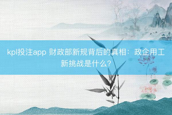 kpl投注app 财政部新规背后的真相：政企用工新挑战是什么？