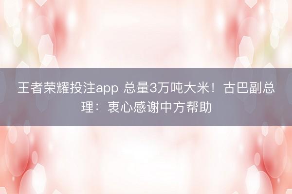 王者荣耀投注app 总量3万吨大米！古巴副总理：衷心感谢中方帮助