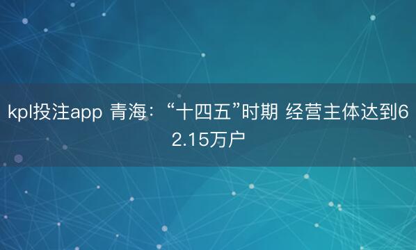 kpl投注app 青海：“十四五”时期 经营主体达到62.15万户