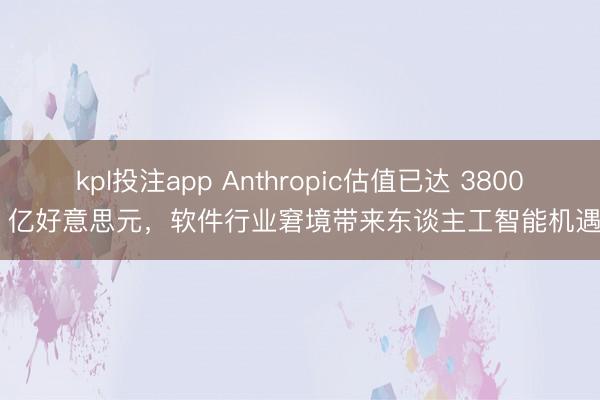 kpl投注app Anthropic估值已达 3800 亿好意思元，软件行业窘境带来东谈主工智能机遇