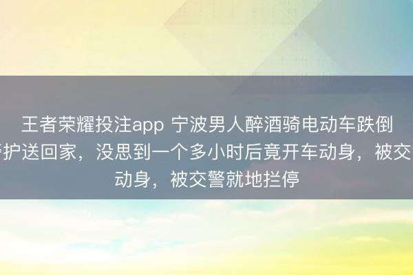 王者荣耀投注app 宁波男人醉酒骑电动车跌倒路边被民警护送回家,没思到一个多小时后竟开车动身,被交警就地拦停