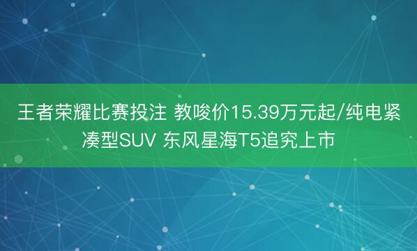 王者荣耀比赛投注 教唆价15.39万元起/纯电紧凑型SUV 东风星海T5追究上市