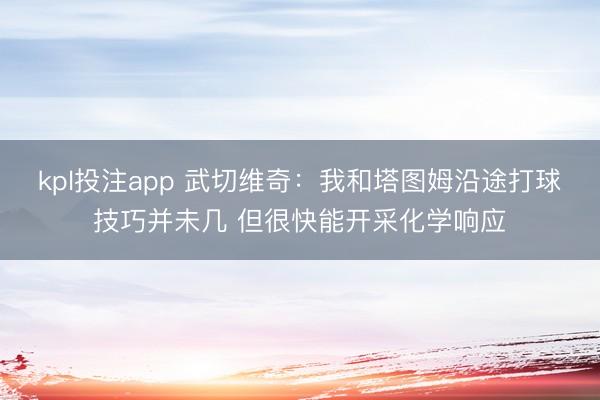 kpl投注app 武切维奇：我和塔图姆沿途打球技巧并未几 但很快能开采化学响应