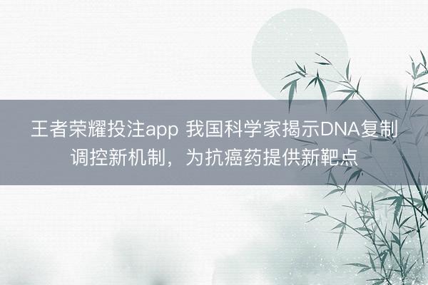 王者荣耀投注app 我国科学家揭示DNA复制调控新机制，为抗癌药提供新靶点