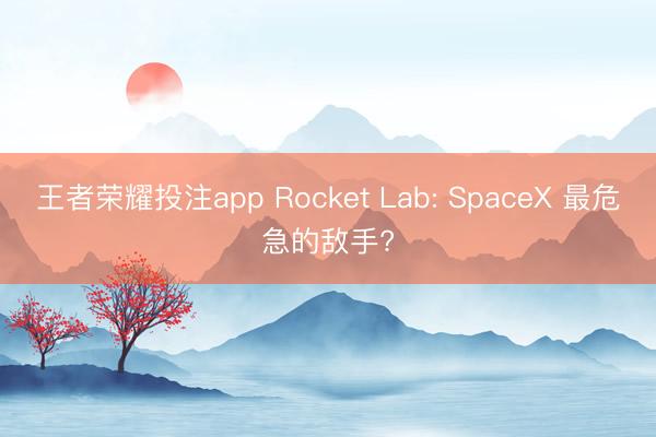 王者荣耀投注app Rocket Lab: SpaceX 最危急的敌手?