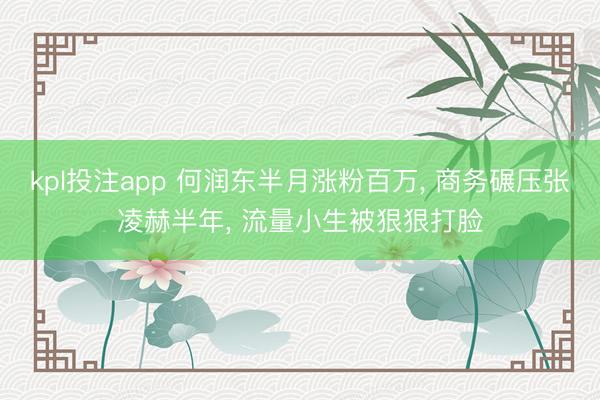 kpl投注app 何润东半月涨粉百万， 商务碾压张凌赫半年， 流量小生被狠狠打脸