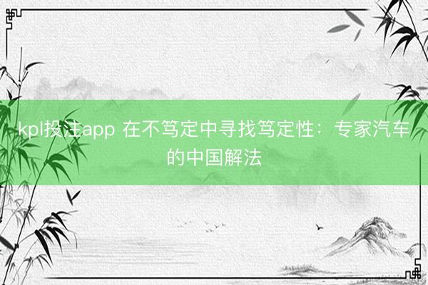 kpl投注app 在不笃定中寻找笃定性：专家汽车的中国解法