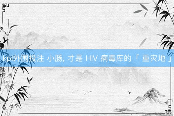 kpl外围投注 小肠， 才是 HIV 病毒库的「 重灾地 」