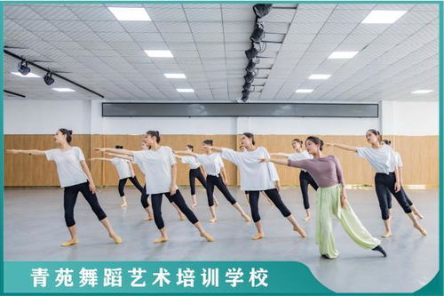 舞蹈艺考注意事项与济南舞蹈艺考培训指南