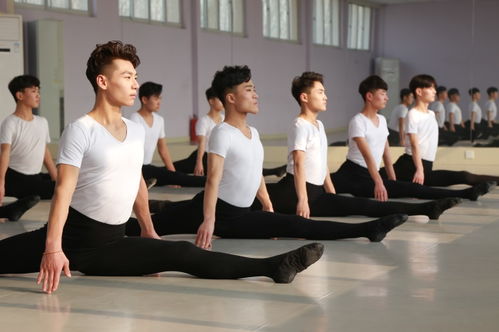 日照高三舞蹈艺考培训 青苑艺术定期考核助力精准提升