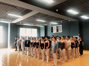 北京梓艺 中国体舞艺考生不得不选择它的八个理由