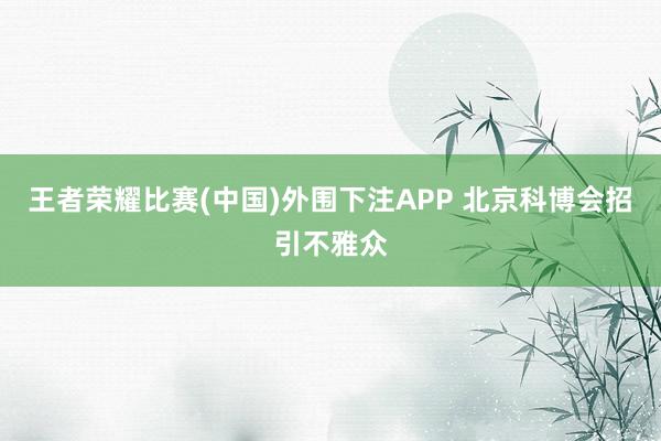 王者荣耀比赛(中国)外围下注APP 北京科博会招引不雅众