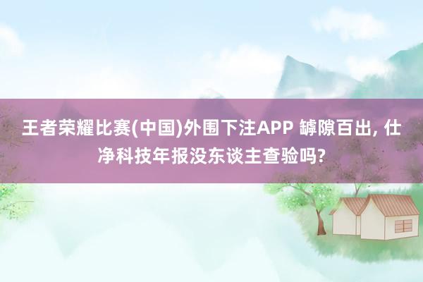 王者荣耀比赛(中国)外围下注APP 罅隙百出, 仕净科技年报没东谈主查验吗?