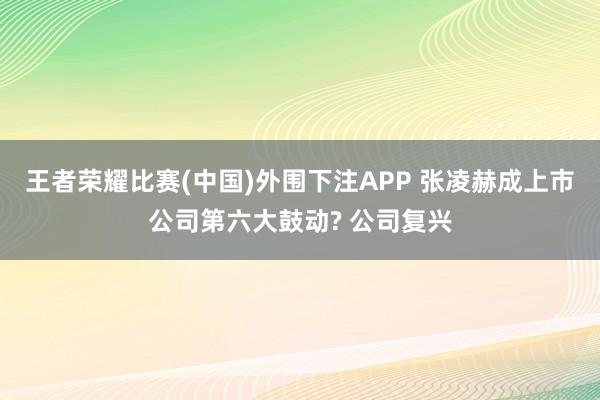 王者荣耀比赛(中国)外围下注APP 张凌赫成上市公司第六大鼓动? 公司复兴