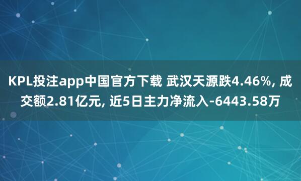 KPL投注app中国官方下载 武汉天源跌4.46%, 成交额2.81亿元, 近5日主力净流入-6443.58万