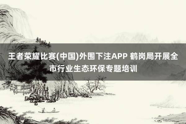 王者荣耀比赛(中国)外围下注APP 鹤岗局开展全市行业生态环保专题培训