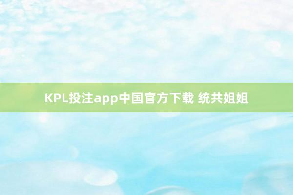 KPL投注app中国官方下载 统共姐姐