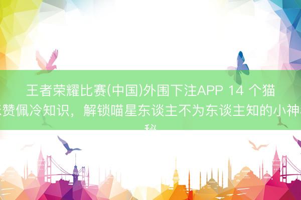 王者荣耀比赛(中国)外围下注APP 14 个猫咪赞佩冷知识,解锁喵星东谈主不为东谈主知的小神秘