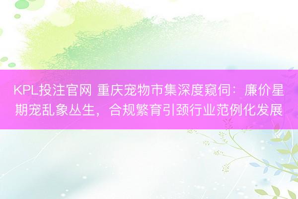 KPL投注官网 重庆宠物市集深度窥伺:廉价星期宠乱象丛生,合规繁育引颈行业范例化发展