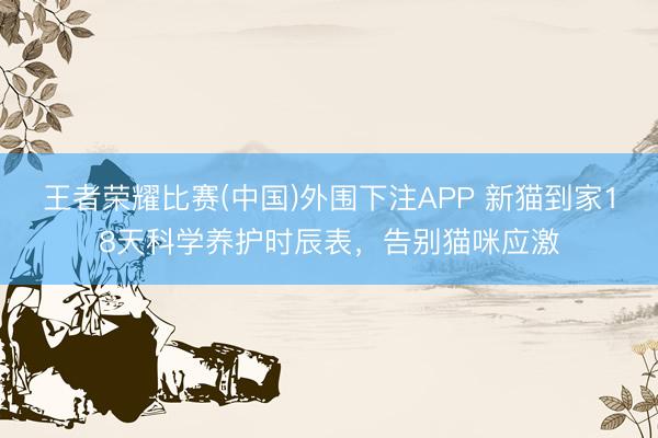 王者荣耀比赛(中国)外围下注APP 新猫到家18天科学养护时辰表,告别猫咪应激