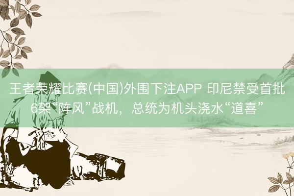 王者荣耀比赛(中国)外围下注APP 印尼禁受首批6架“阵风”战机,总统为机头浇水“道喜”