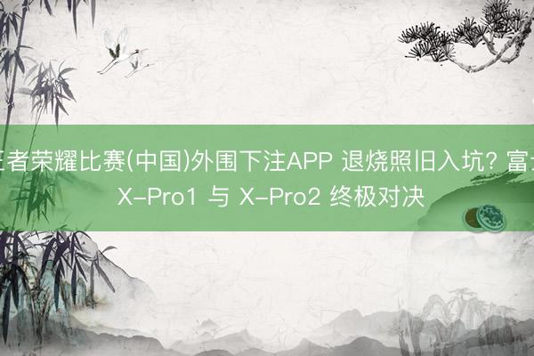 王者荣耀比赛(中国)外围下注APP 退烧照旧入坑? 富士 X-Pro1 与 X-Pro2 终极对决