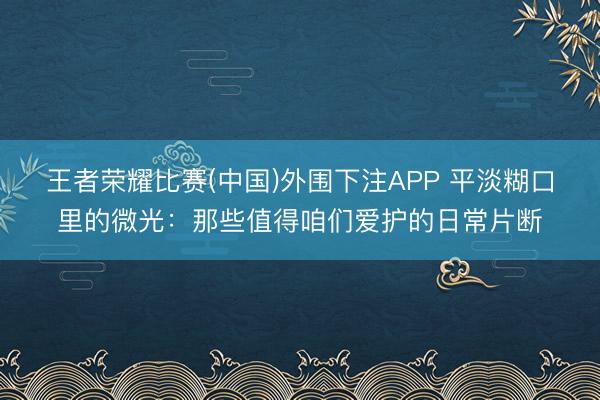 王者荣耀比赛(中国)外围下注APP 平淡糊口里的微光:那些值得咱们爱护的日常片断