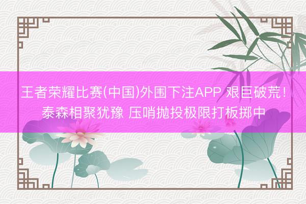 王者荣耀比赛(中国)外围下注APP 艰巨破荒!泰森相聚犹豫 压哨抛投极限打板掷中
