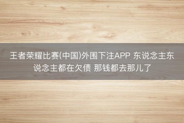 王者荣耀比赛(中国)外围下注APP 东说念主东说念主都在欠债 那钱都去那儿了