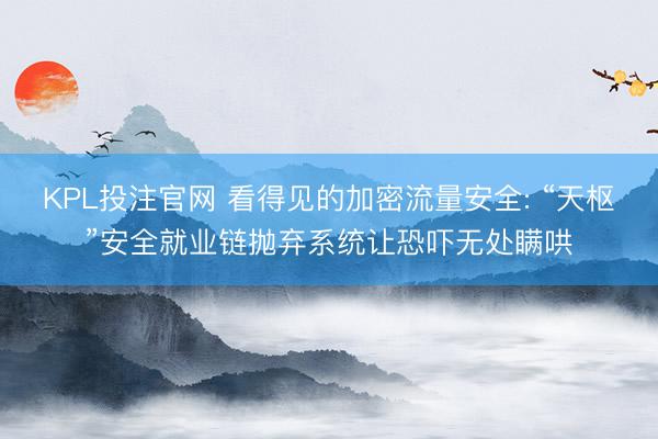 KPL投注官网 看得见的加密流量安全: “天枢”安全就业链抛弃系统让恐吓无处瞒哄