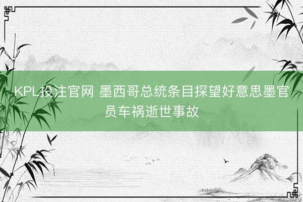 KPL投注官网 墨西哥总统条目探望好意思墨官员车祸逝世事故